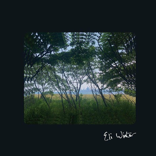 VA - Eli Winter - Eli Winter (2022) (MP3)