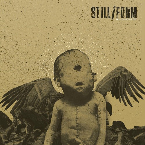 VA - Still form - From The Rot Is A Gift (2022) (MP3)