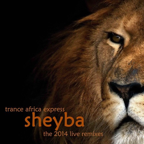 VA - Sheyba - Trance Africa Express (The 2014 Live Remixes) (2022) (MP3)