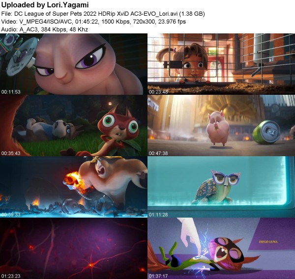 DC League of Super Pets (2022) HDRip XviD AC3-EVO