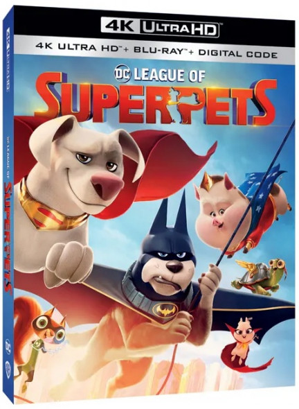 DC League of Super Pets (2022) 1080p AMZN WEBRip x264-GalaxyRG