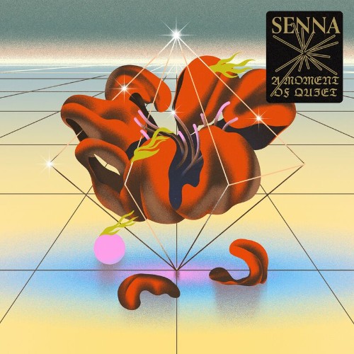 VA - Senna - A Moment Of Quiet (2022) (MP3)