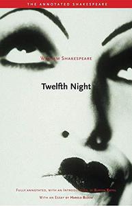 Twelfth Night or, What You Will