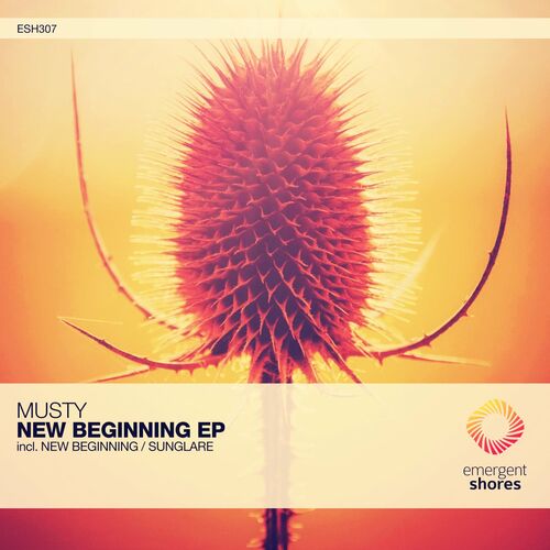 VA - Musty - New Beginning (2022) (MP3)