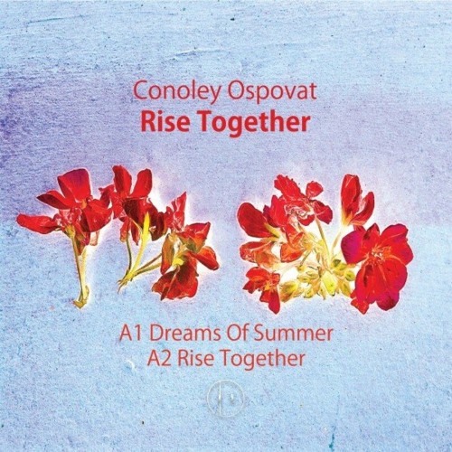 VA - Conoley Ospovat - Rise Together (2022) (MP3)