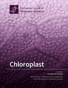 Chloroplast 