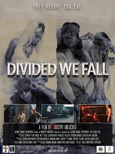 Divided We Fall (2021) 1080p WEBRip x265-RARBG