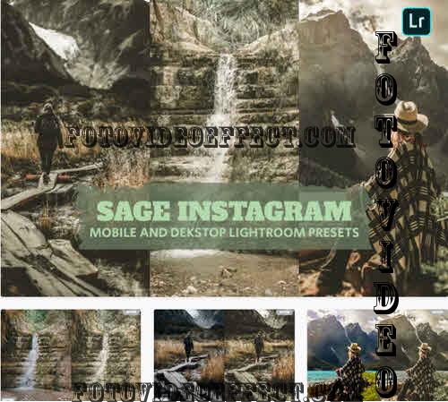 Sage Instagram Lightroom Presets Dekstop Mobile