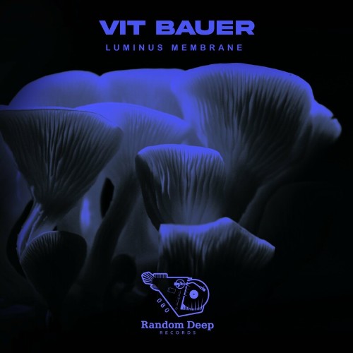 Vit Bauer - Luminus Membrane (2022)