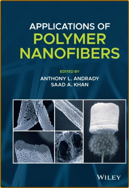 Andrady A  Applications of Polymer Nanofibers 2022