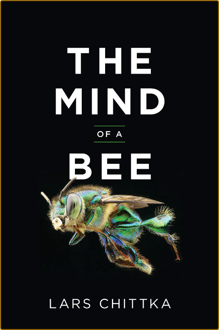 Lars Chittka - The Mind of a Bee