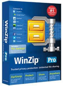 WinZip Pro 27.0 Build 15240 Multilingual (x86/x64)