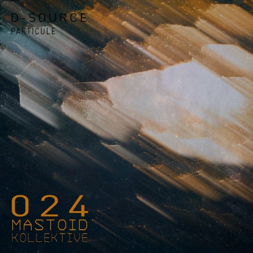 VA - D-Source - Particule (2022) (MP3)