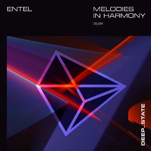 VA - Entel - Melodies In Harmony (Extended) (2022) (MP3)