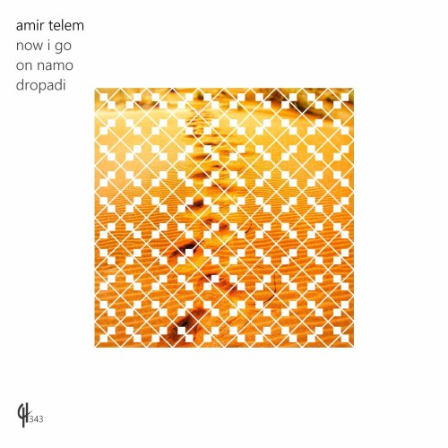 VA - Amir Telem - Now I Go (2022) (MP3)