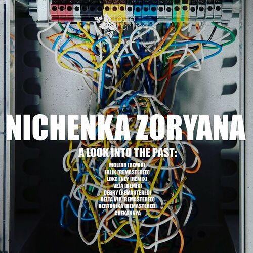 VA - Nichenka Zoryana - A Look into the Past (2022) (MP3)