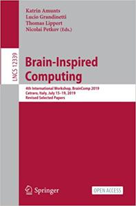 Brain-Inspired Computing 4th International Workshop, BrainComp 2019, Cetraro, Italy, July 15-19, 2019, Revised Selected