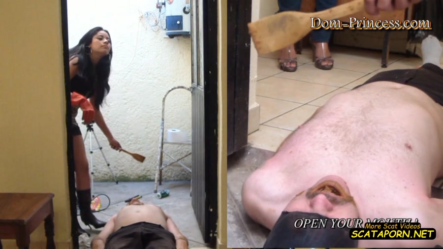Excrement Feeding and stop resisting Scat Slave with: Amateurs (26 August 2022/312 MB)