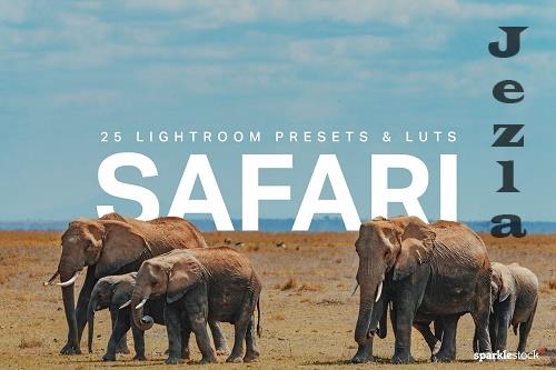 25 Safari Lightroom Presets LUTs - 7538790