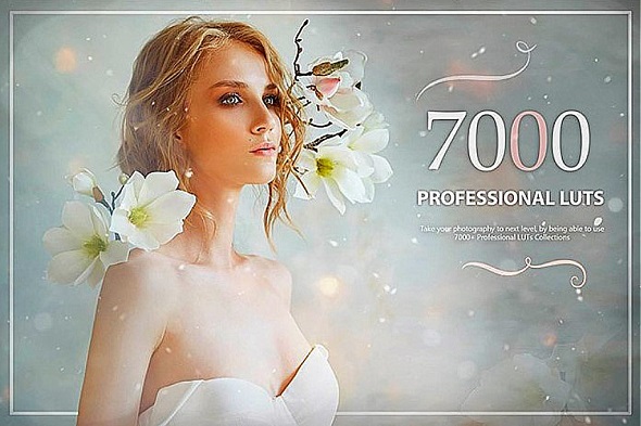 7000+ Professional LUTs – Eldamar Studio