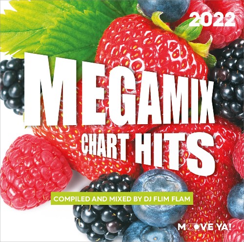VA - Megamix Chart Hits 2022 (Compiled and Mixed By DJ Flimflam) (2022) (MP3)