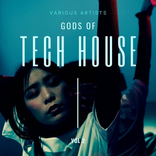 VA - Gods of Tech House, Vol. 2 (2022) (MP3)