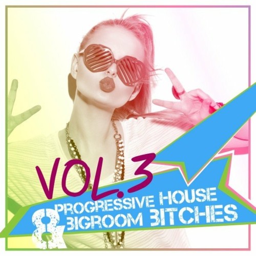VA - Progressive House & Bigroom Bitches, Vol. 3 (2022) (MP3)