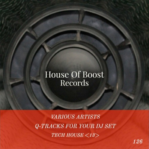 VA - Q-Tracks for your Dj Set Tech House 13 (2022) (MP3)