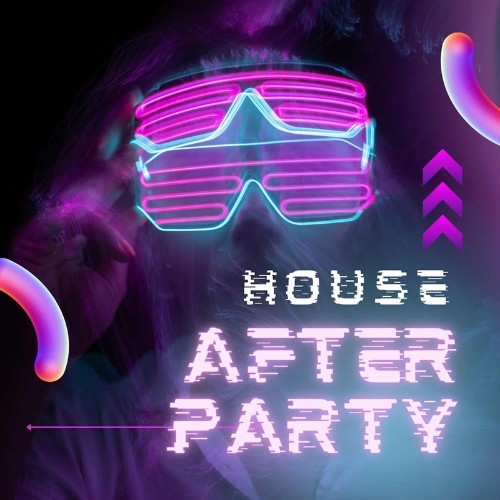 VA - House After Party (2022) (MP3)
