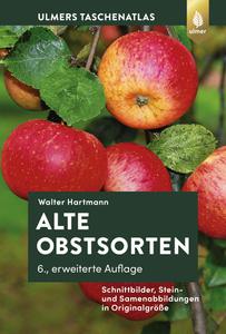Alte Obstsorten Schnittbilder, Stein- und Samenabbildungen in Originalgröße, 6. Auflage