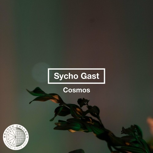 VA - Sycho Gast - Cosmos (2022) (MP3)