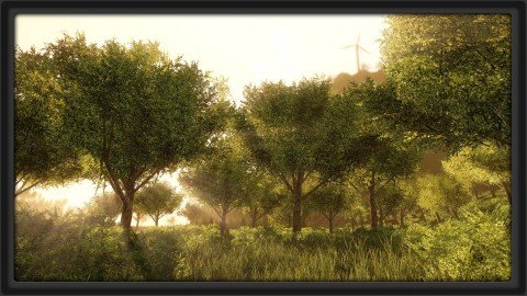 Create Foliage And Trees For Games Or Film Using Speedtree