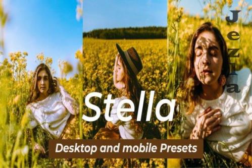 14 Stella Lightroom Presets 14 Stella Lightroom Presets
