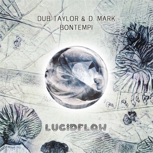 VA - Dub Taylor & D. Mark - Bontempi (2022) (MP3)