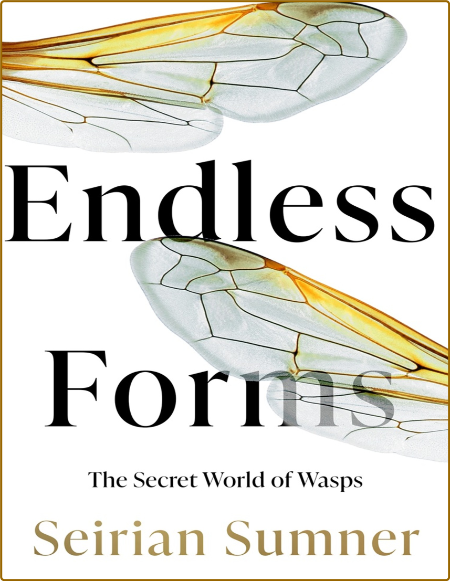 Sumner S  Endless Forms  The Secret World of Wasps 2022
