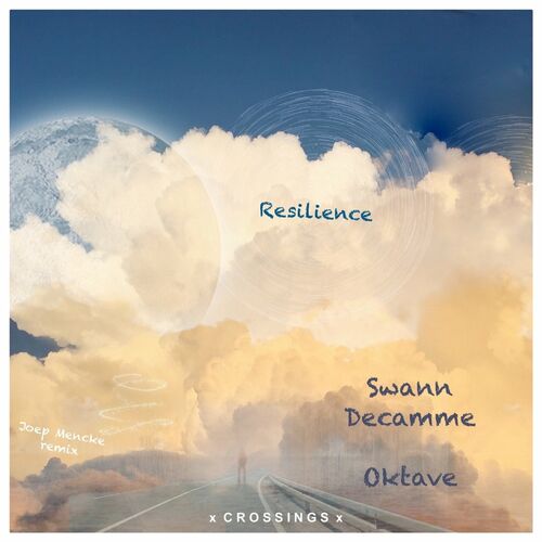 VA - Swann Decamme & OKTAVE - Resilience (2022) (MP3)