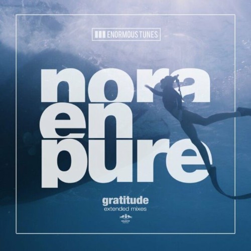VA - Nora En Pure - Gratitude (Extended Mixes) (2022) (MP3)