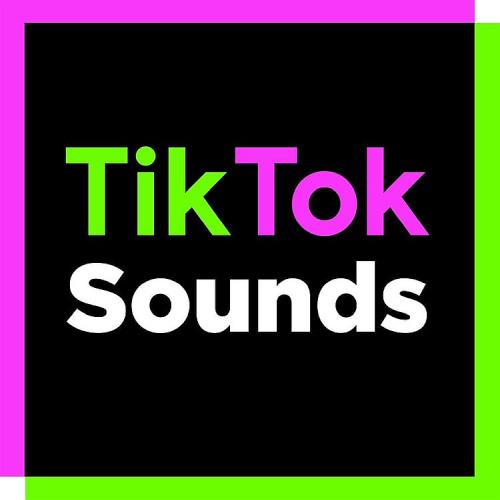 TikTok Sounds (2022) FLAC