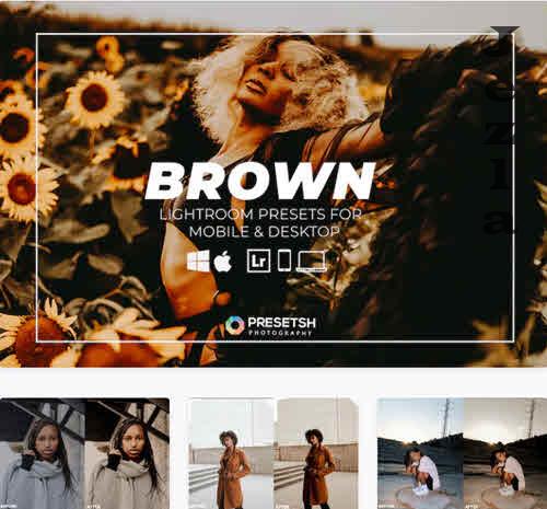 Brown Beautiful Lightroom Presets