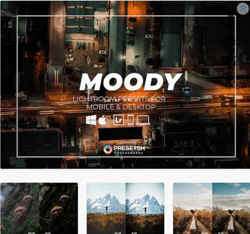 Dark & Moody Lightroom Presets Desktop & Mobile - RBGTN25
