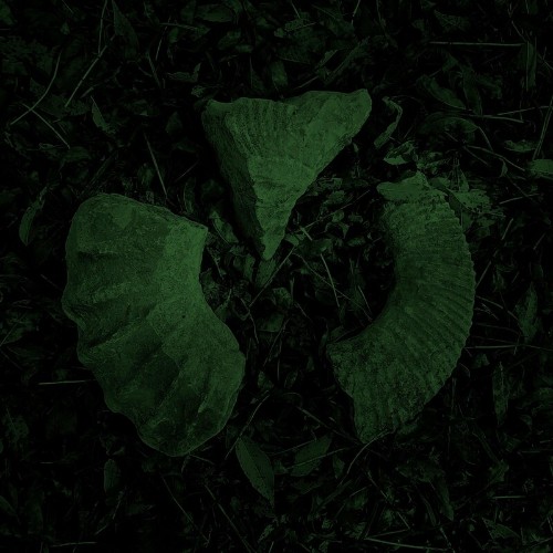 VA - HVL - Aura Fossil (2022) (MP3)