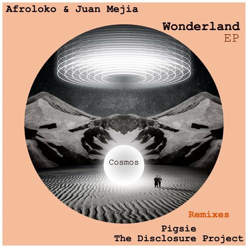 VA - Afroloko - Pisco Funk (2022) (MP3)