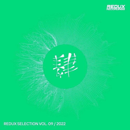 VA - Redux Selection Vol 9 / 2022 (2022) (MP3)