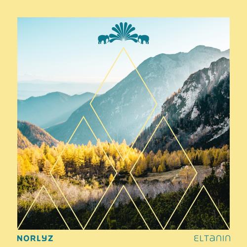 VA - NORLYZ - Eltanin (2022) (MP3)