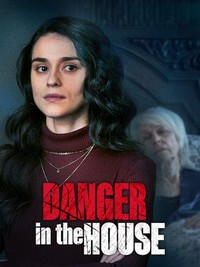 Danger in the House (2022) 720p WEB h264-BAE