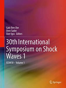 30th International Symposium on Shock Waves 1 ISSW30 - Volume 1 