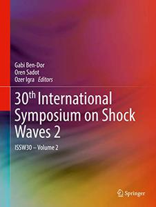 30th International Symposium on Shock Waves 2 ISSW30 - Volume 2 