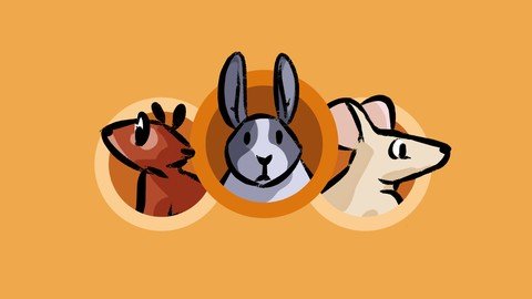 How To Draw A Bunny And Rodents  Master Drawing Animals