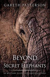 Beyond the Secret Elephants On mystery, elephants and discovery