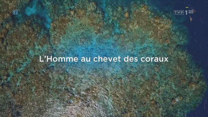 Na ratunek rafie koralowej / A la rescousse des coraux (2019) PL.1080i.HDTV.H264-B89 | POLSKI LEKTOR